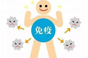 不容易生病|经常生病 vs 不生病，谁的免疫力更强？